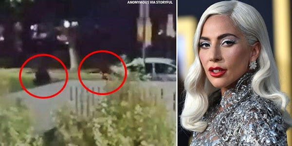 Woman Gaga's supposed dognappers captured and charged for theft, endeavored murder of canine walker 