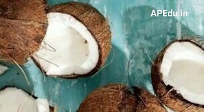 The post Pooja And Coconut: If the coconut beaten before God rots..is it a sign of bad luck?