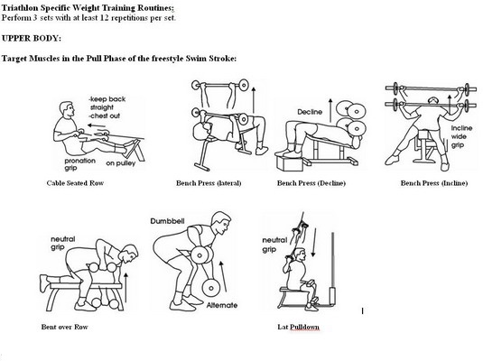 Beginner Weight Lifting Routines