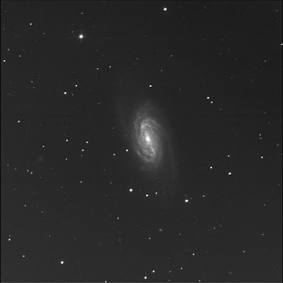 RASC Finest galaxy NGC 2903 in luminance