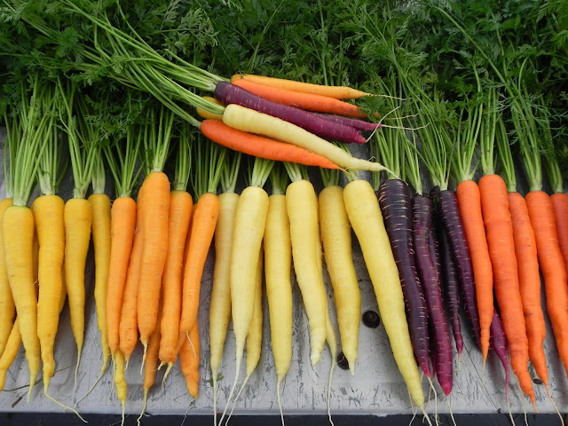 disease can cure using carrot 