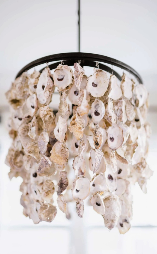 Oyster Chandeliers