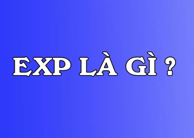 Exp là gì? Tầm quan trọng của Exp trong Doanh Nghiệp