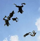 No céu