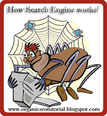 organic seo tutorial how search engien works