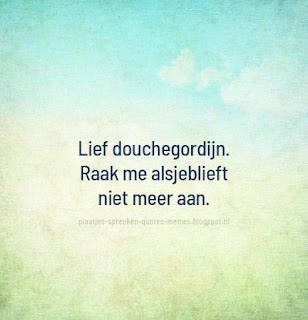 plaatjes met nederlandse quotes