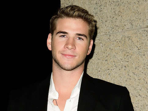Liam Hemsworth has praised the film adaptation of'The Hunger Games' 