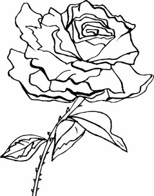 Flower Coloring Pages on Spring Flower Coloring Pages Collections 2010
