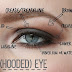 The Amazing information tips of eye