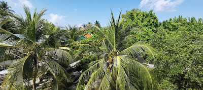 Vistas de Dhigurah desde la terraza del Ufá Escape.