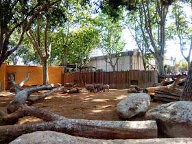 zoo de barcelona