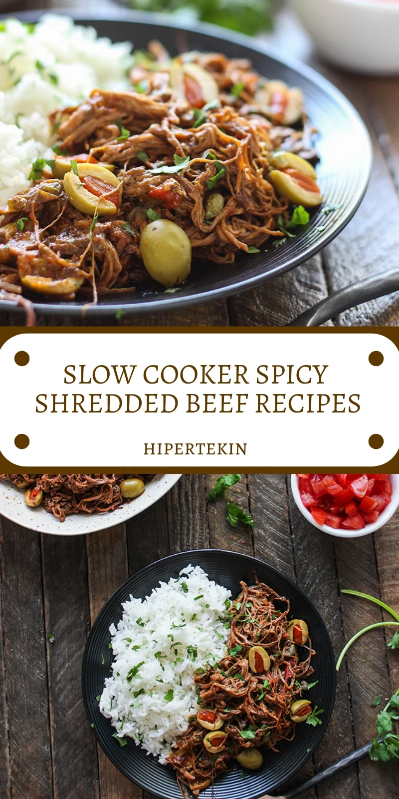 SLOW COOKER SPICY SHREDDED BEEF RECIPES