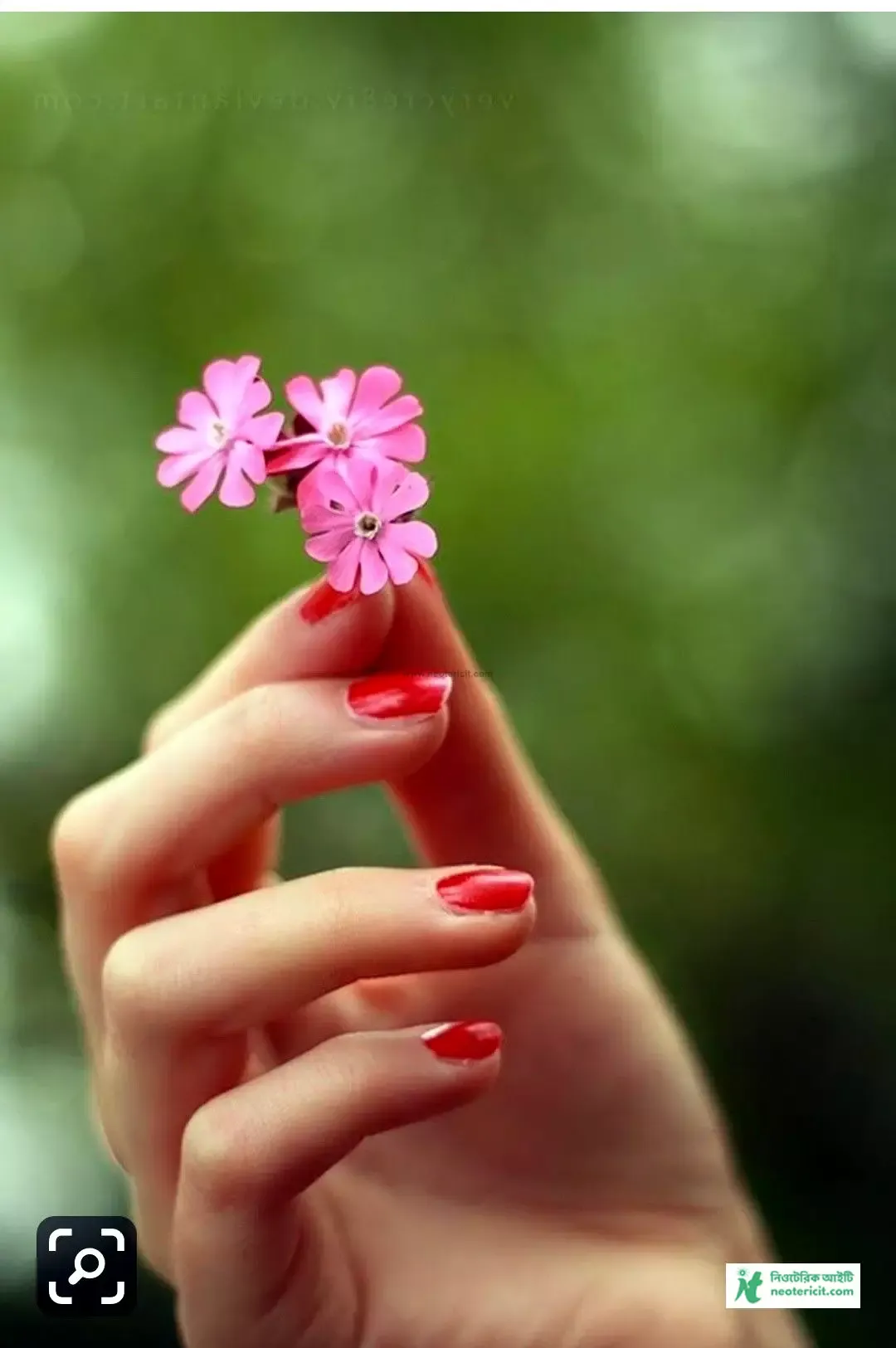 Pics of flowers in girls hands - Pics with flowers in girls hands - Rose flowers in girls hands - rose flower - NeotericIT.com - Image no 3