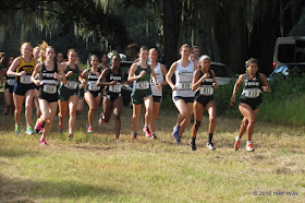 Cougar Cross Country Challenge