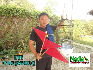 hasil lomba burung klaten, hasil lomba burung terbaru 2018, hasil lomba burung sragen, hasil lomba rajawali indonesia, burung new, jadwal lomba burung, daftar juara bnr semarang, hasil lomba agrobur, daftar juara bnr award 2017, daftar juara lomba burung kapolres cup sragen, kontes burung surabaya, video kontes burung lovebird, kontes burung murai, kontes burung anis, kontes burung kacer, kontes burung pleci, kontes burung kenari, kontes burung merpati, kontes burung konin, hasil lomba piala kapolres metro jakarta selatan, piala kapolres metro jakarta selatan, daftar juara piala kapolres metro jakarta selatan, daftar pemenang piala kapolres metro jakarta selatan, latber kalen sepur bc, latber ksbc, latpres kalen sepur bc, latpres ksbc, daftar juara latber exclusive kalen sepur bc, hasil lomba latber kalen sepur bc, hasil, lomba ksbc, daftar juara latber ksbc, daftar pemenang latber ksbc, lb sri tanjung, lovebird sri tanjung, prestasi sri tanjung, kelas lovebird, kelas murai, kelas cucak ijo, kelas kacer, kelas kenari, kelas ciblek, kelas pleci