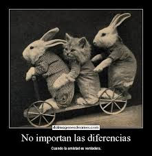 Frases De Amistad: No Importan Las Diferencias