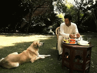 Political turmoil in Pakistan LIVE: Imran Sarkar fell in the middle of the night