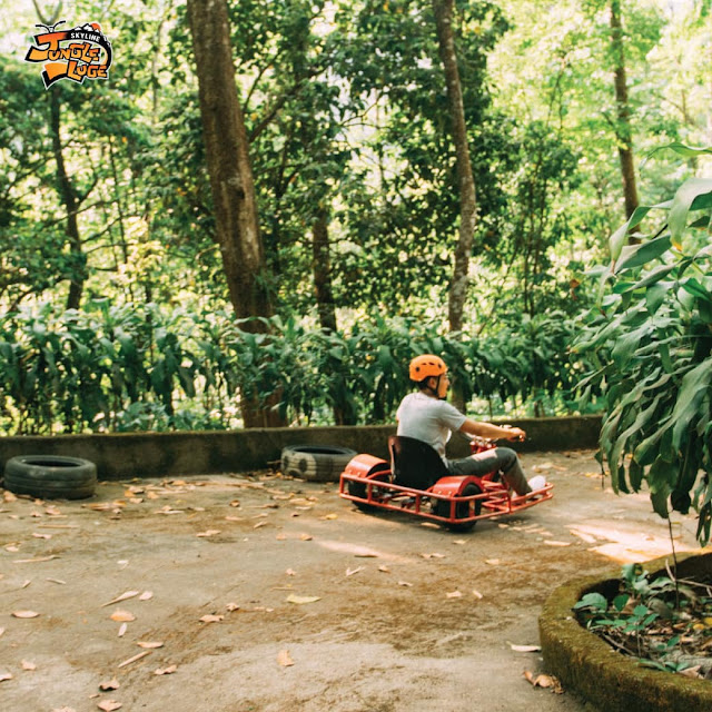 skyline jungle luge, skyline jungle luge chiang mai, skyline jungle luge in chiang mai, skyline jungle luge zipline, zipline skyline jungle luge, zipline skyline jungle luge chiang mai