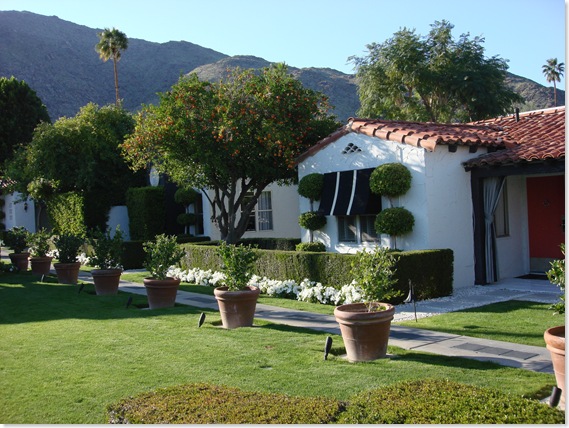 Palm Springs 3 125
