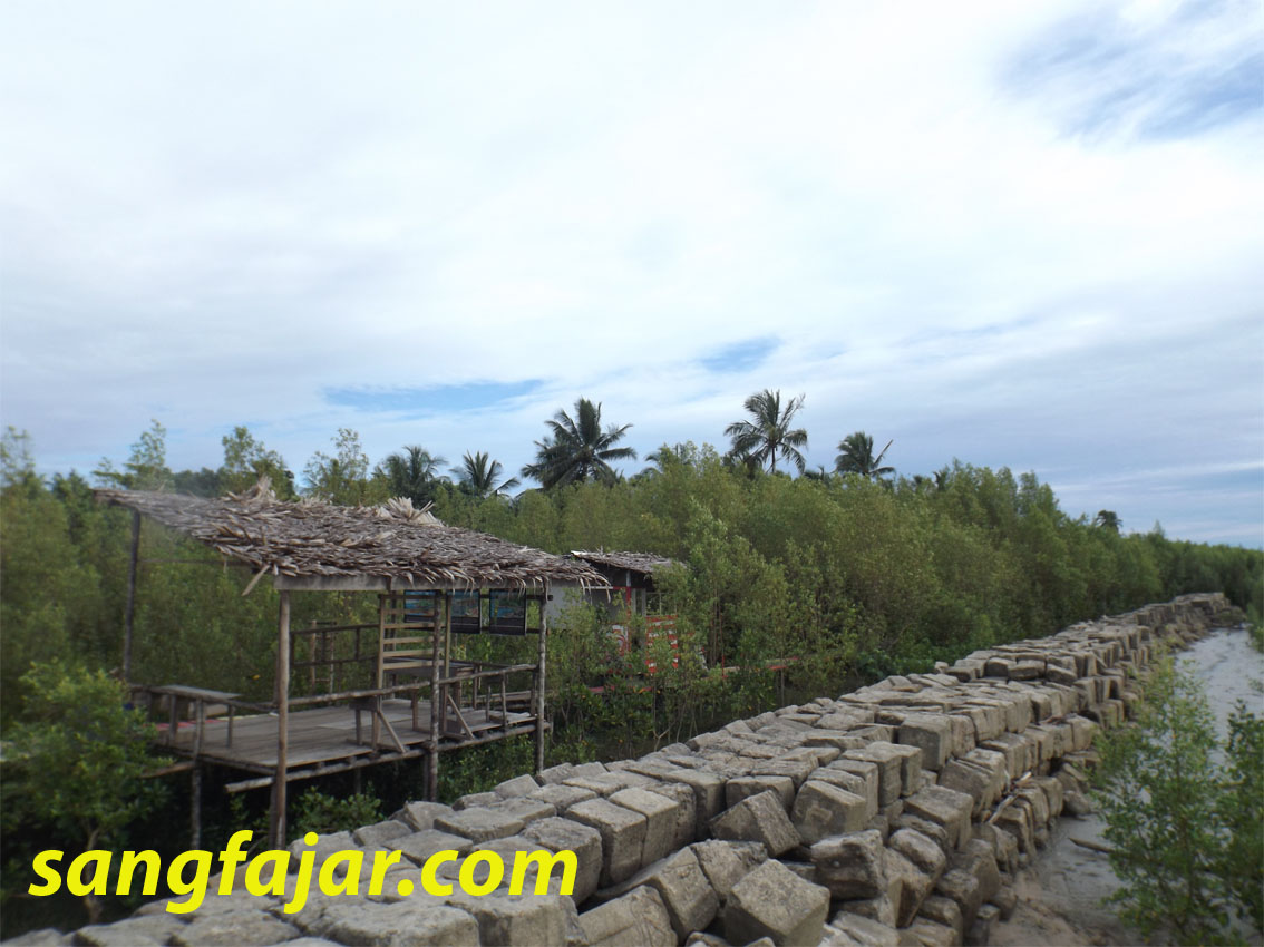 taman mangrove mangrove park mempawah wisata kekinian di  