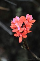 IMG_1881