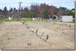 graves