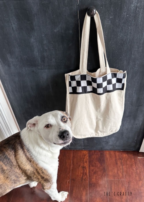 Dog checking out canvas handbag with custom checker stripe.