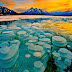 The Frozen Bubbles of Alberta, Canada’s Abraham Lake; the Dangerous beauty