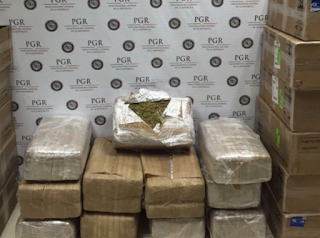 Por paqueteria envian 80 kilos de marihuana a Reynosa Tamaulipas