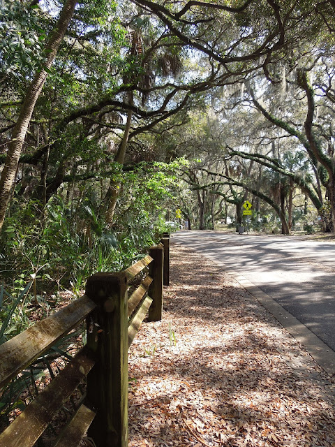 oak canopy and railing