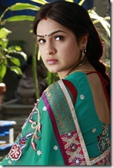 Aditi Agarwal Latest Saree Stills