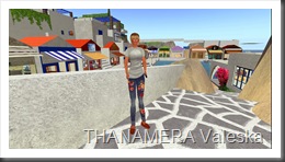 Snapshot_003