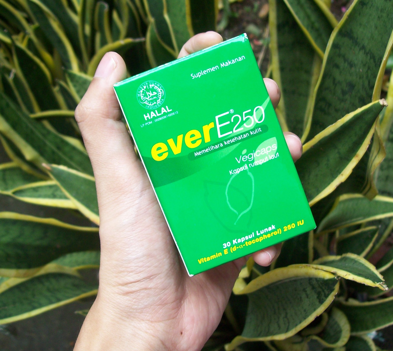 Review Ever E 250 Daretochange By Indonesian Beauty Blogger