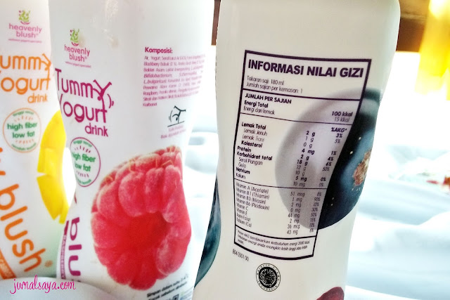 kandungan serat dalam yogurt