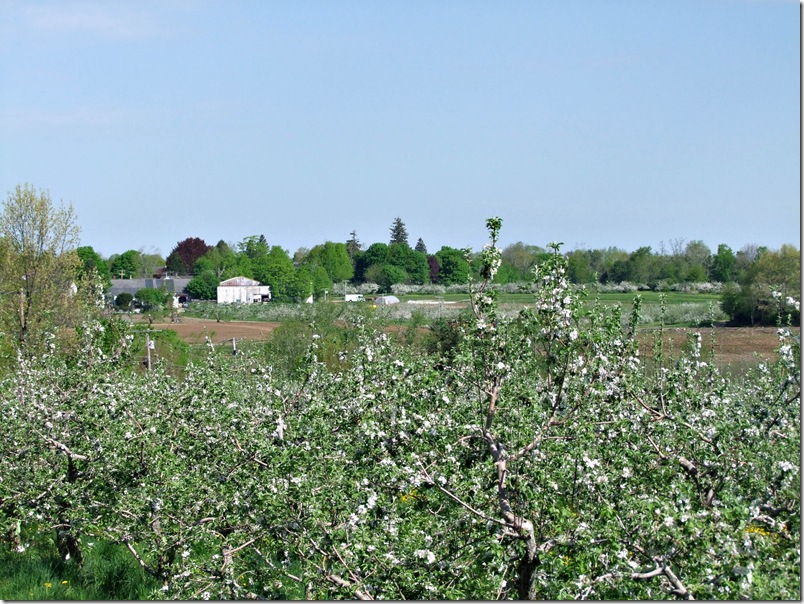orchard view b