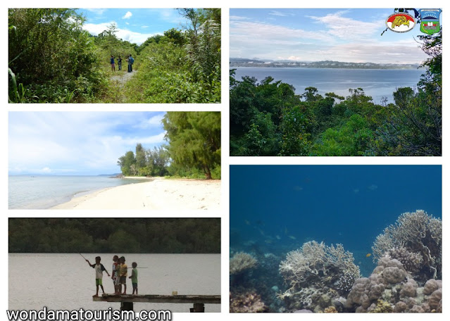 beach, coral reef and rainforest in Wondama bay