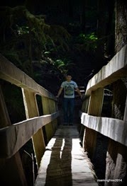 On the bridge