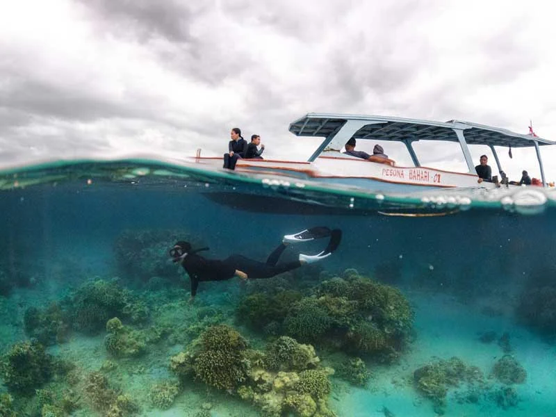 Snorkeling Pulau Menjangan Bali