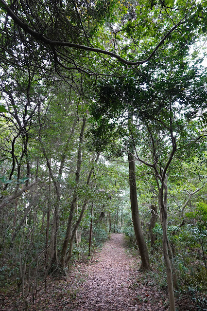 島根県安来市安来町 十神山城跡