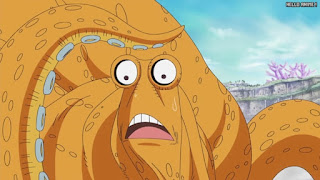 ワンピースアニメ 魚人島編 558話 スルメ | ONE PIECE Episode 558