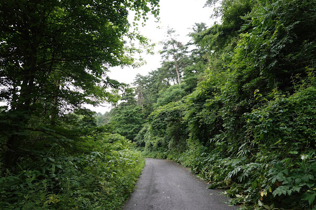 鳥取県西伯郡大山町赤松 赤松池