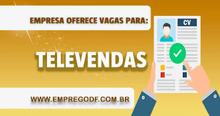  Vendedor Web / Televendas