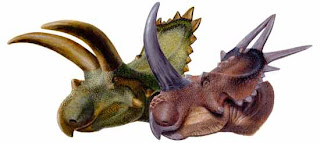 10 Dinosaurus Bertanduk Paling Spektakuler [ www.BlogApaAja.com ]