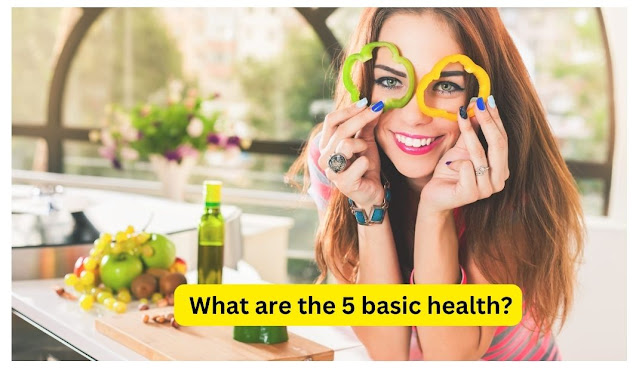  What are the 5 basic health?