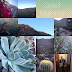 Arizona Trip Day 4