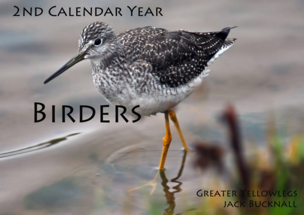 2nd Calendar Year Birders