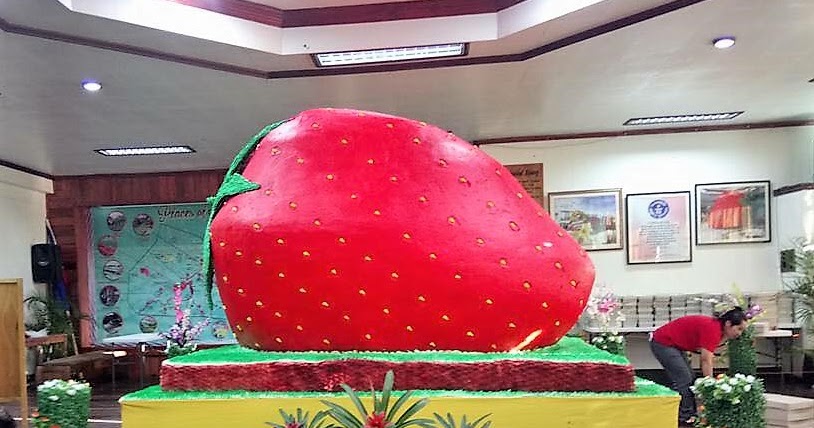 La Trinidad To Bake World Record Giant Strawberry Cake To Highlight Strawberry Festival 19 Wowcordillera