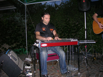 Carter D-10 Pedal Steel Guitar