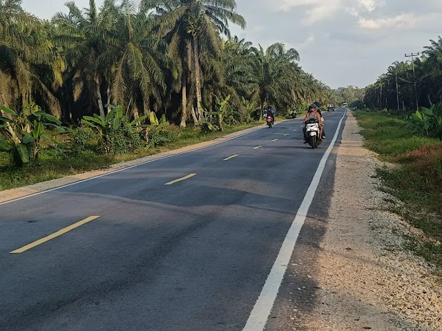 Jalan Sanggau–Sekadau di Semuntai Baru Selesai Tapi Udah Bergelombang Warga Bingung Ini Proyek Jalan Apa Proyek Main-Main