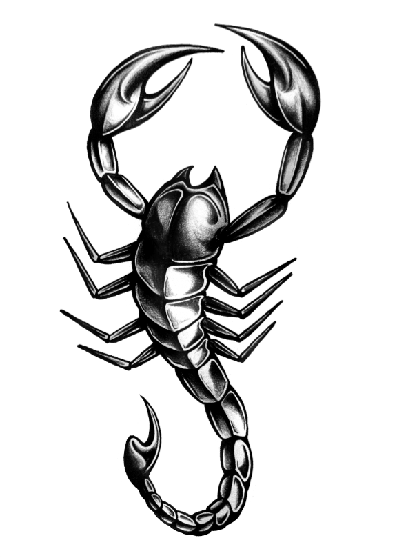 tatouage de scorpion tribal